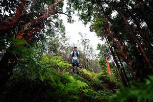 BIB: 
                            <button type="button" onclick="openModal(26201328)" class="btn btn-primary btn-sm float-right btn-popup" data-toggle="modal" data-target=".modal-high-quality">
                        <i class="fas fa-shopping-cart"></i> Add to Cart
                    </button>
                                            <button type="button" onclick="isThisMe(26201328, true)" class="btn btn-success btn-sm float-right btn-popup btn-isme hidden" data-toggle="tooltip" data-placement="bottom" title="นี่คือรูปของคุณใช่ไหม คลิกที่นี่เพื่อเอาเข้าอัลบั้ม">
                        <i class="fas fa-plus"></i> Add to album
                    </button>
                    <button type="button" onclick="isThisMe(26201328, false)" class="btn btn-warning btn-sm float-right btn-popup btn-isnotme hidden">
                        <i class="fas fa-ban"></i> Remove from album
                    </button>